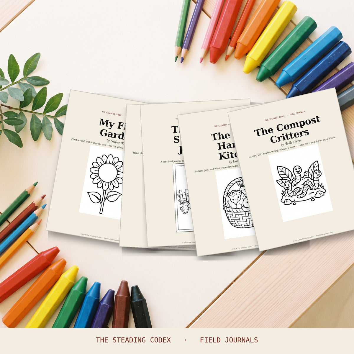 little-steaders-library-listing-4