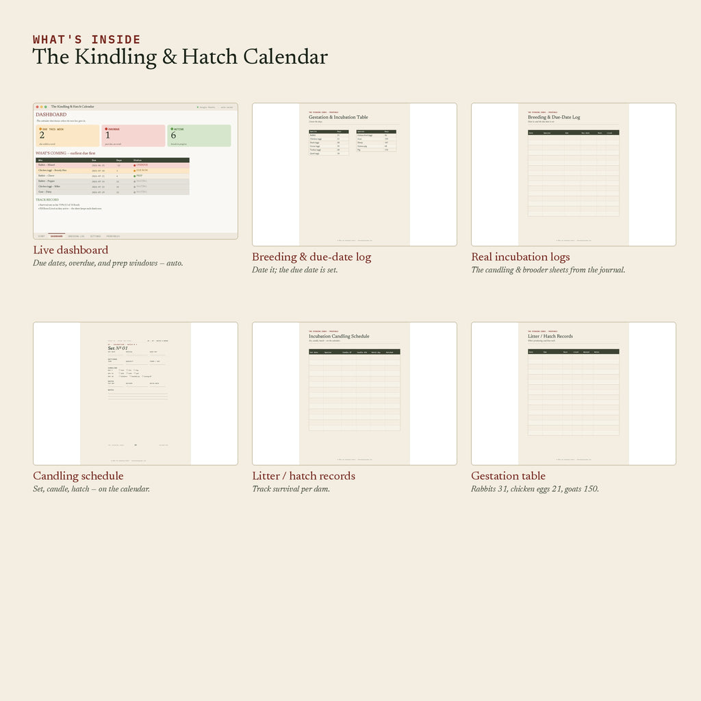 kindling-hatch-sheet-listing-2
