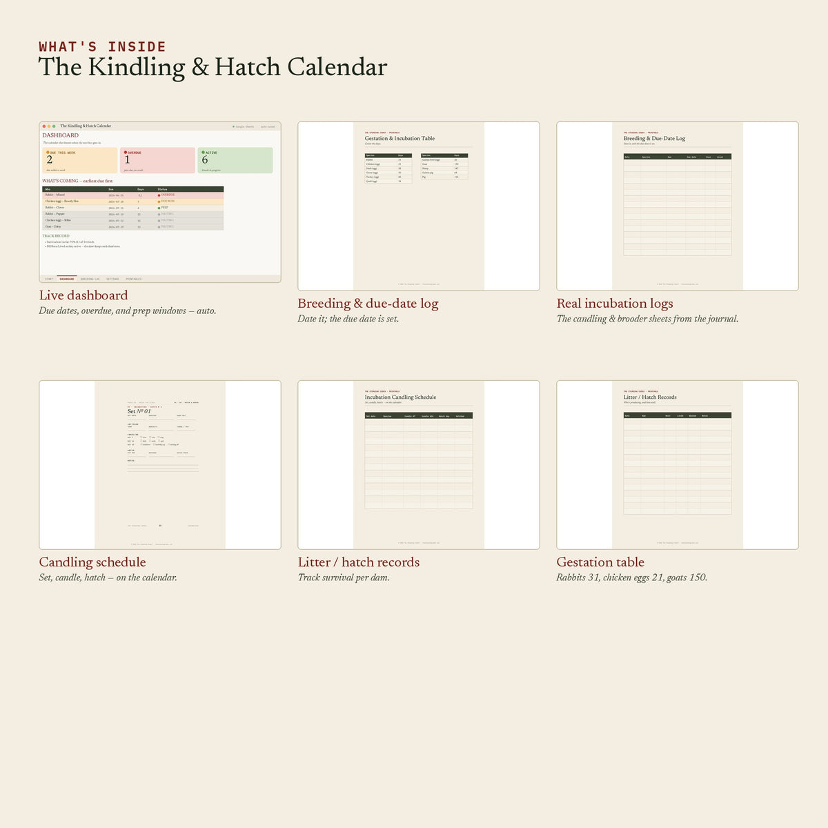 kindling-hatch-sheet-listing-2