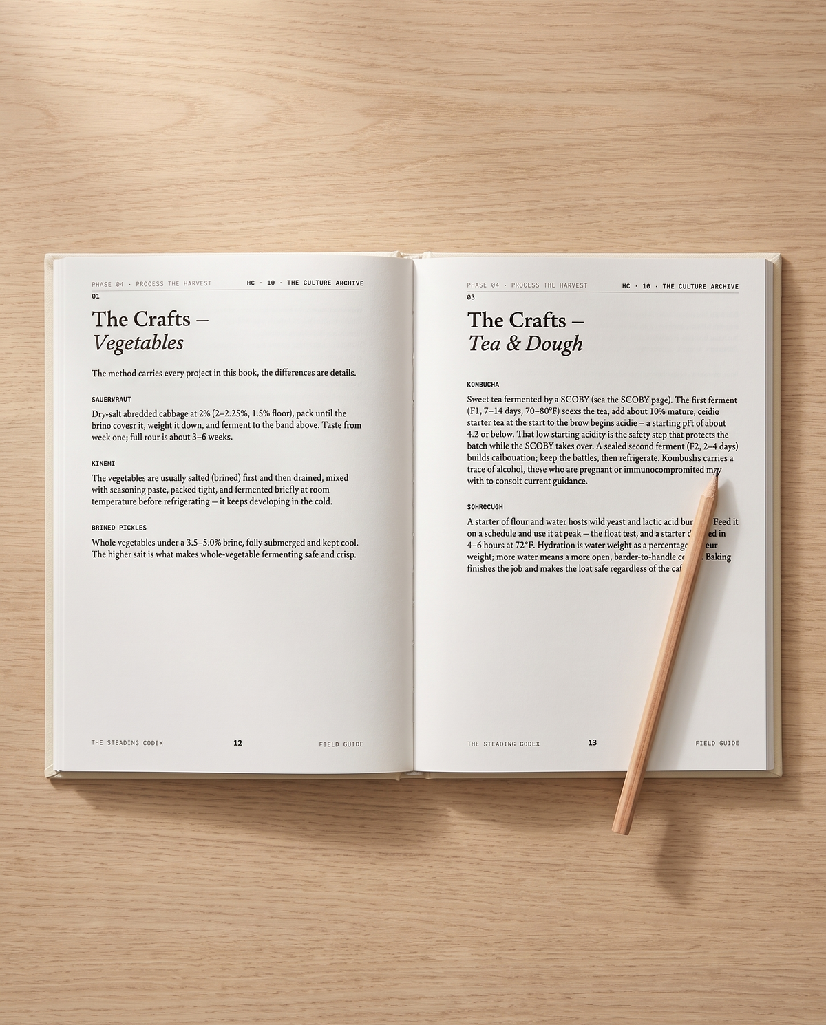 The Culture Archive open to the kombucha and sourdough record pages